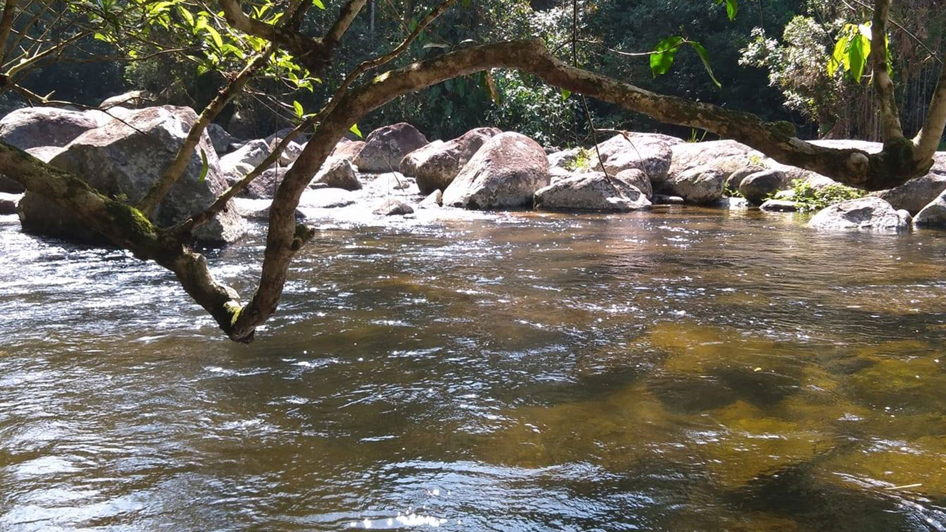 Vista da água 1